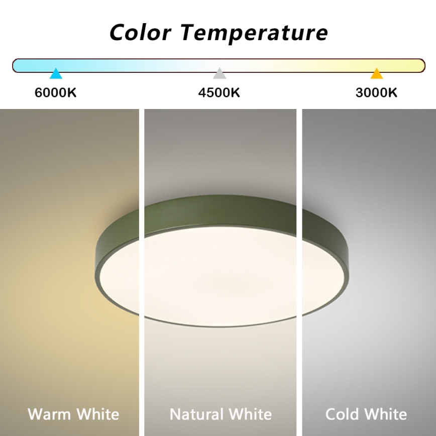 Brilagi - LED таванен плафон POOL, 60W, 230V, 3000/4000/6000K, Ø 50 см, зелен