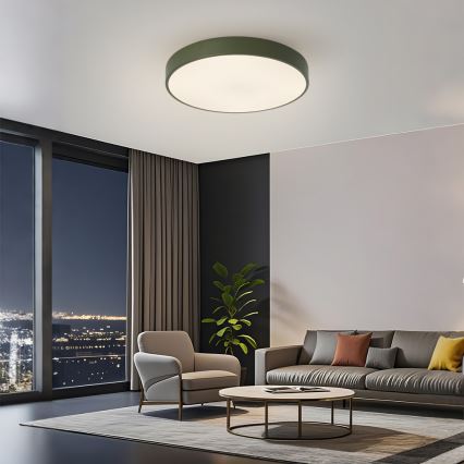 Brilagi - LED таванен плафон POOL, 60W, 230V, 3000/4000/6000K, Ø 50 см, зелен