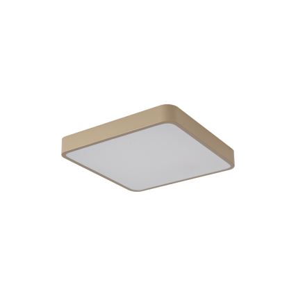 BRILAGI - LED таванно осветително тяло POOL SQUARE LED/36W/230V 3000/4000/6000K 40x40 cm бежово