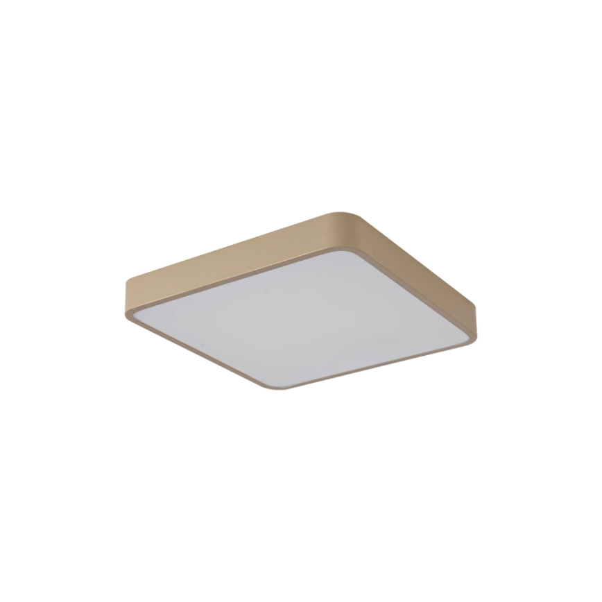 BRILAGI - LED таванно осветително тяло POOL SQUARE LED/36W/230V 3000/4000/6000K 40x40 cm бежово