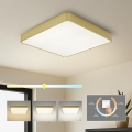Brilagi - LED таванно осветително тяло POOL SQUARE LED/48W/230V 3000/4000/6000K 50x50 cm златисто