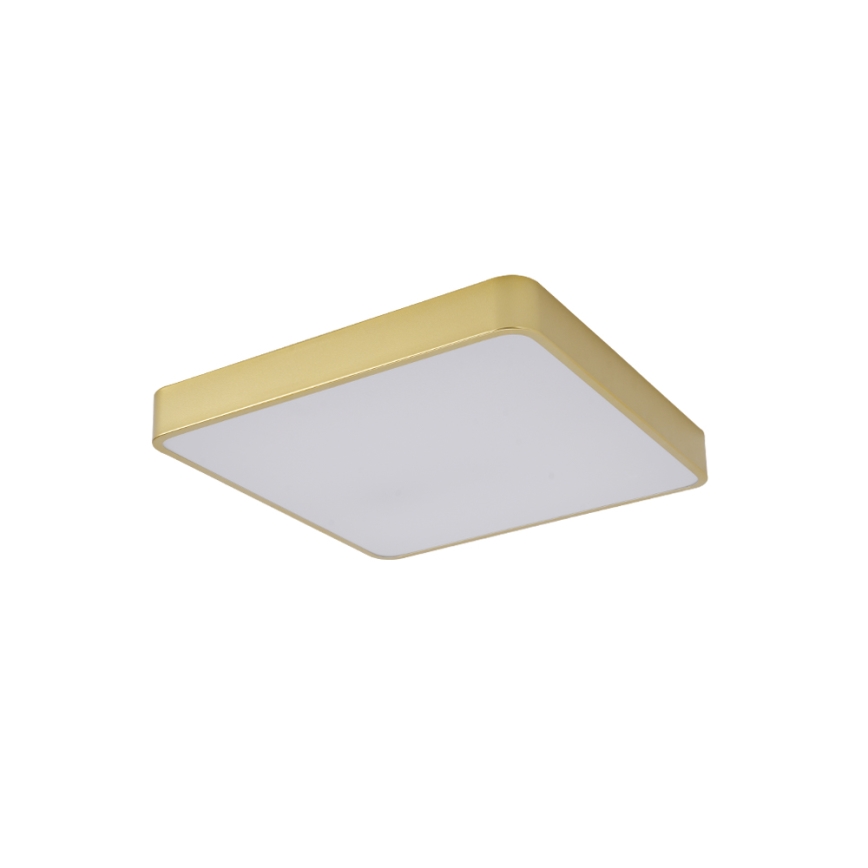 BRILAGI - LED таванно осветително тяло POOL SQUARE LED/48W/230V 3000/4000/6000K 50x50 cm златисто