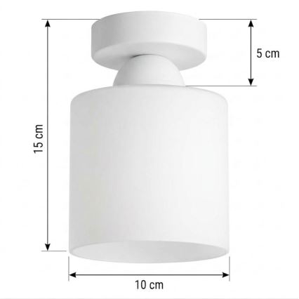 BRILAGI - LED таванно осветително тяло RETRO GLASS 1xE27/60W/230V диам. 10 см бяло