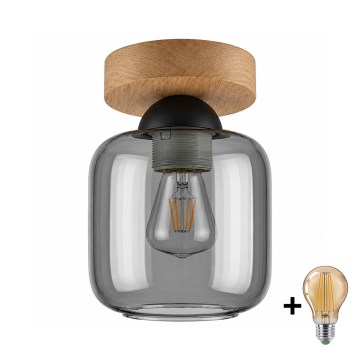 BRILAGI - LED таванно осветително тяло RETRO GLASS 1xE27/60W/230V pr. 14 cm дъб/димно сиво