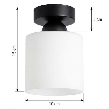 BRILAGI - LED таванно осветително тяло RETRO GLASS 1xE27/60W/230V Ø 10 см черно/бяло