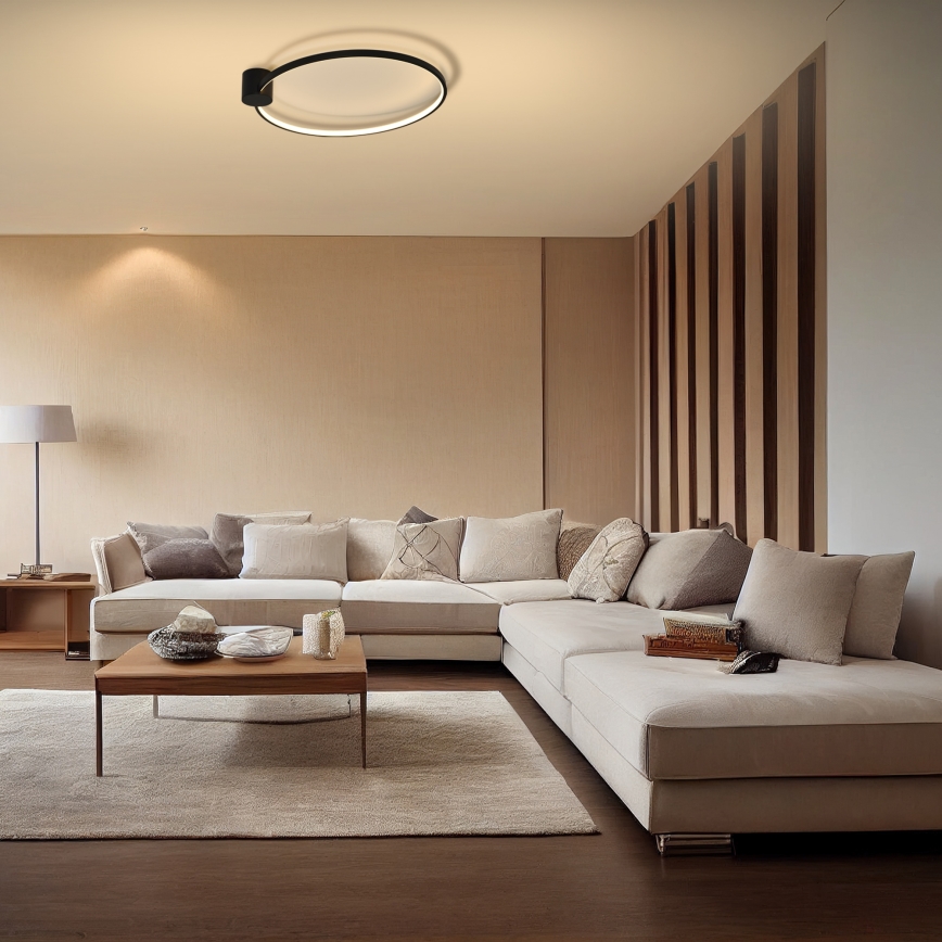 Brilagi - LED таванно осветително тяло RINGO LED/18W/230V Ø 50 см