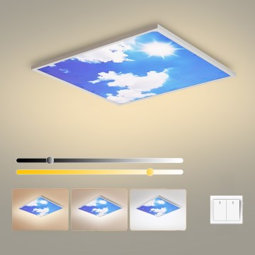 Brilagi - LED таванно осветително тяло SLIMFRAME LED/58W/230V 60x60 cm сребристо/синьо