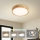 Brilagi - LED таванно осветително тяло WOODLINE LED/24W/230V 3000/4000/6000K дъб, Ø 30 см