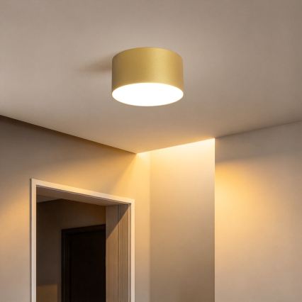 BRILAGI - LED Плафон за баня FORIS LED/14W/230V Ø 12 см златист IP44