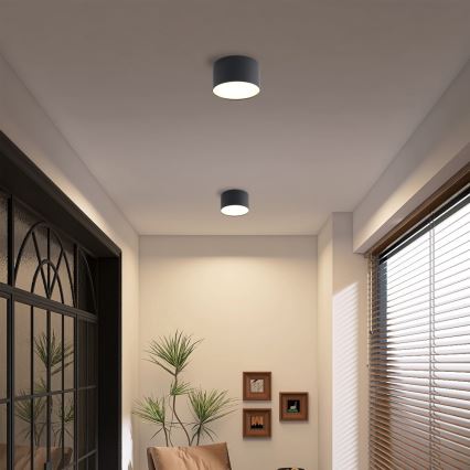 Brilagi - LED таванно осветително тяло за баня FORIS LED/9W/230V, Ø 9 см, черно, IP44