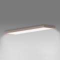 Brilagi - LED таванно осветително тяло за баня FRAME LED/50W/230V 120x30 cm IP44 бежово