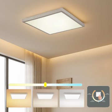 Brilagi - LED таванно осветително тяло за баня FRAME LED/50W/230V 3000/4000/6000K 60x60 cm IP44 сребристо