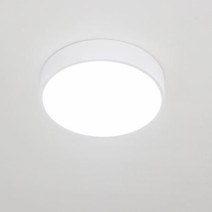 Brilagi - LED таванно осветително тяло за баня POOL LED/24W/230V 3000/4000/5500K Ø 30 см IP54 бяло