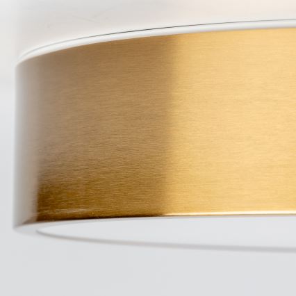 Brilagi - LED таванно осветително тяло за баня POOL LED/24W/230V 3000/4000/5500K Ø 30 cm IP54 бронзово