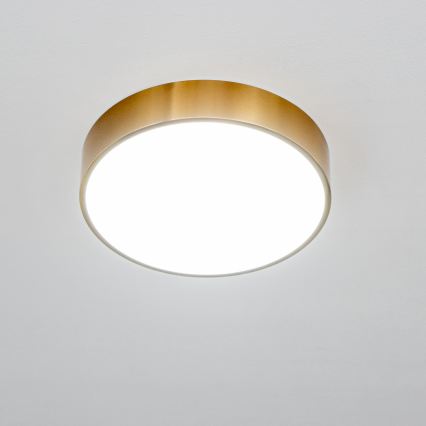 Brilagi - LED таванно осветително тяло за баня POOL LED/24W/230V 3000/4000/5500K Ø 30 cm IP54 бронзово