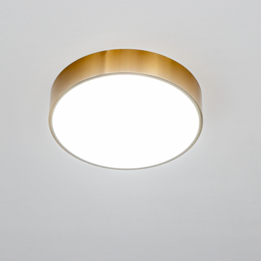 Brilagi - LED таванно осветително тяло за баня POOL LED/24W/230V 3000/4000/5500K Ø 30 cm IP54 бронзово