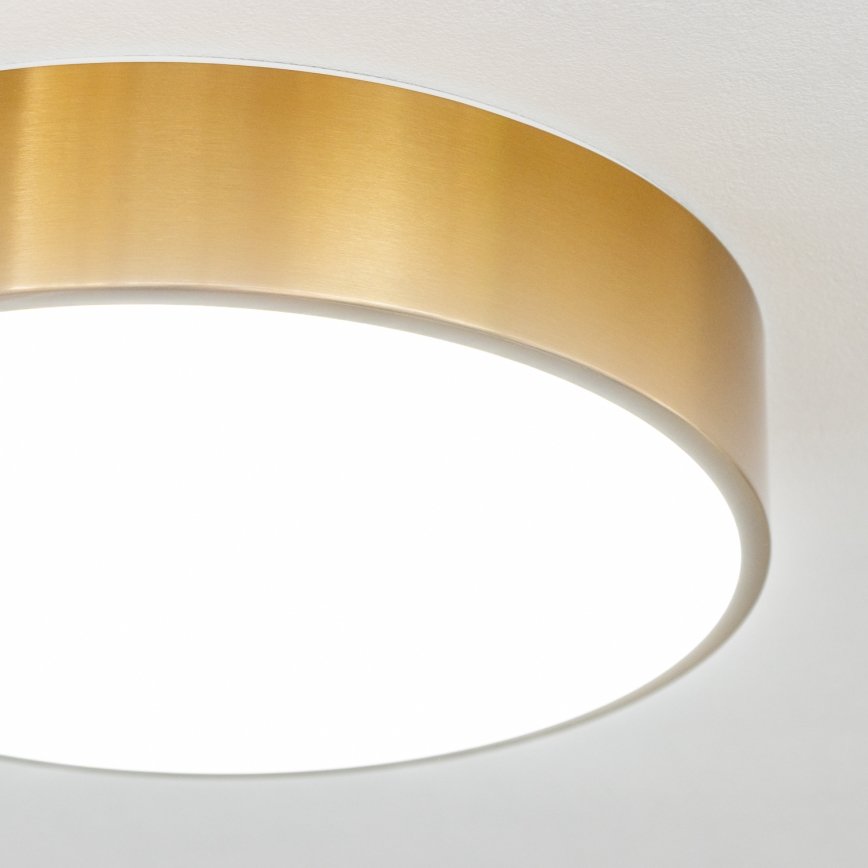 Brilagi - LED таванно осветително тяло за баня POOL LED/24W/230V 3000/4000/5500K Ø 30 cm IP54 бронзово