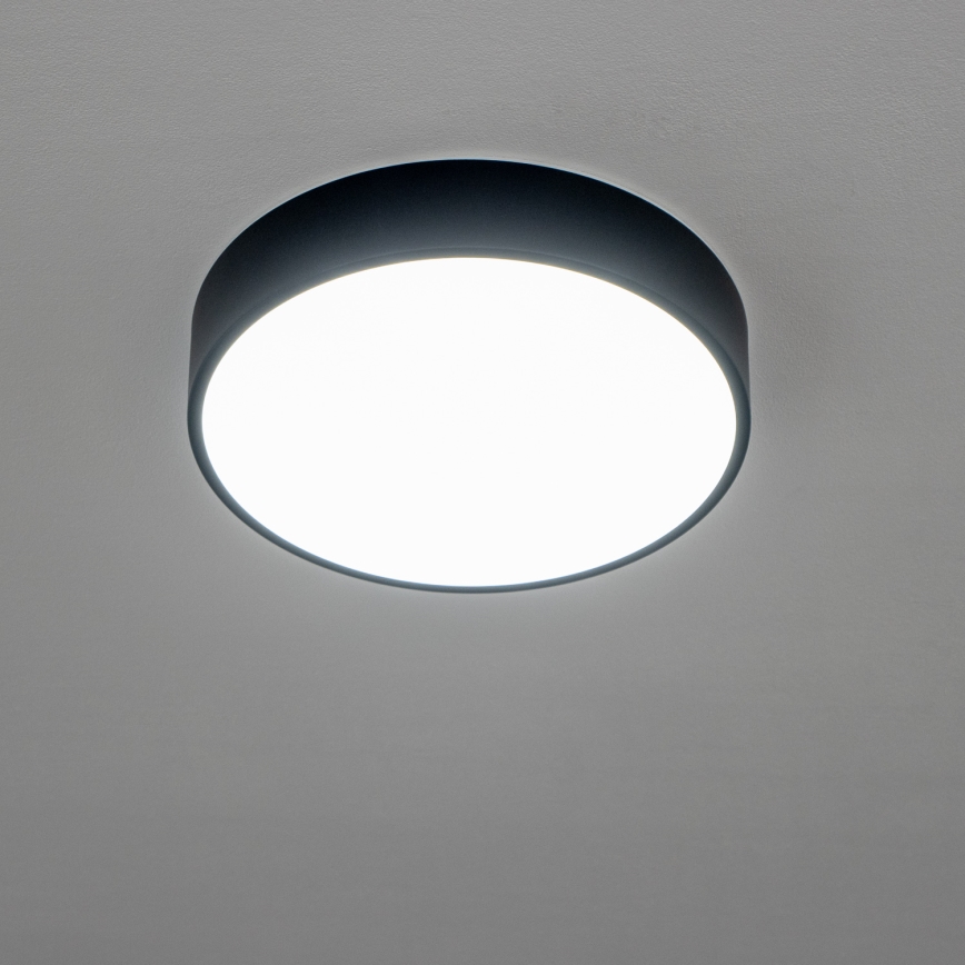 Brilagi - LED таванно осветително тяло за баня POOL LED/24W/230V 3000/4000/5500K Ø 30 см IP54 черно