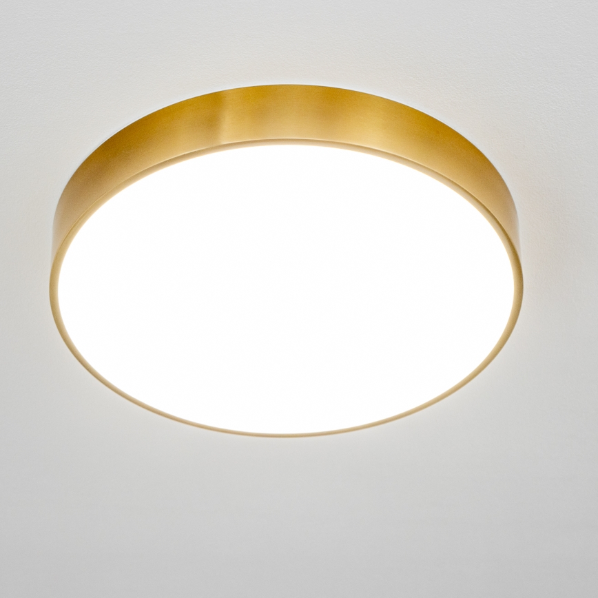 Brilagi - LED таванно осветително тяло за баня POOL LED/36W/230V 3000/4000/5500K Ø 40 см IP54 бронзов