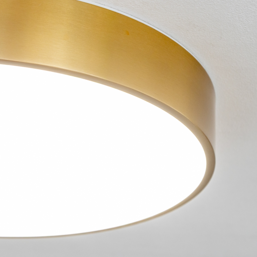 Brilagi - LED таванно осветително тяло за баня POOL LED/36W/230V 3000/4000/5500K Ø 40 см IP54 бронзов