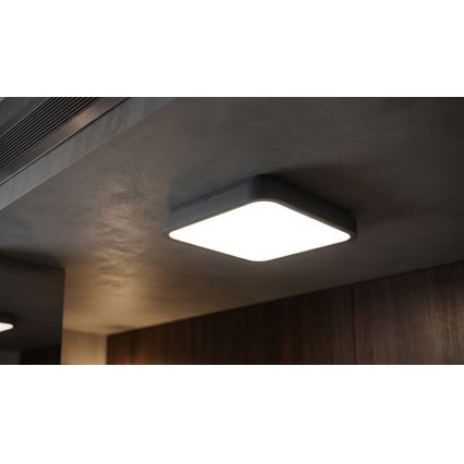BRILAGI - LED таванно осветително тяло за баня със сензор ZENNA LED/24W/230V 34,5x34,5 cm IP44 антрацит + дистанционно управление