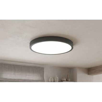 BRILAGI - LED таванно осветително тяло за баня ZENNA със сензор LED/24W/230V Ø 35 см IP44 антрацит + дистанционно управление