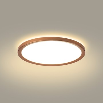 Brilagi - LED таванно осветително тяло за баня ULTRA SLIM LED/12W/230V Ø 22,5 cm розово злато IP54