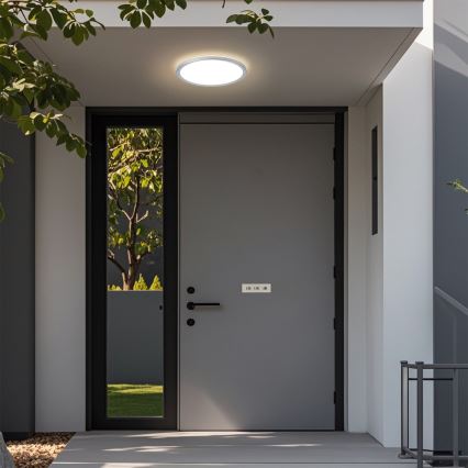 Brilagi - LED таванно осветително тяло за баня ULTRA SLIM LED/12W/230V Ø 22,5 cm сребристо IP54