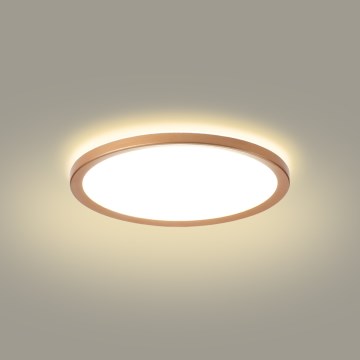 Brilagi - LED таванно осветително тяло за баня ULTRA SLIM LED/18W/230V pr. 30 cm розово злато IP54