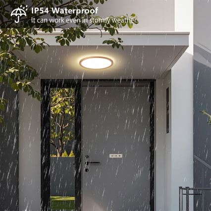 Brilagi - LED таванно осветително тяло за баня ULTRA SLIM LED/18W/230V pr. 30 cm розово злато IP54