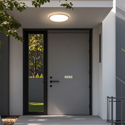 Brilagi - LED таванно осветително тяло за баня ULTRA SLIM LED/18W/230V pr. 30 cm розово злато IP54