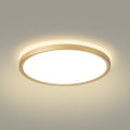 Brilagi - LED таванно осветително тяло за баня ULTRA SLIM, LED/24W/230V, Ø 42 cm, златисто, IP54