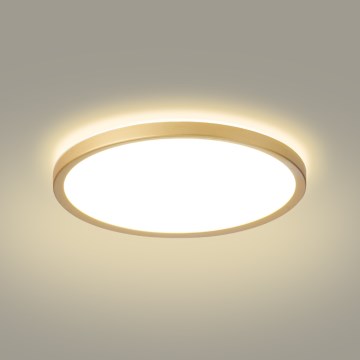 Brilagi - LED таванно осветително тяло за баня ULTRA SLIM, LED/24W/230V, Ø 42 cm, златисто, IP54