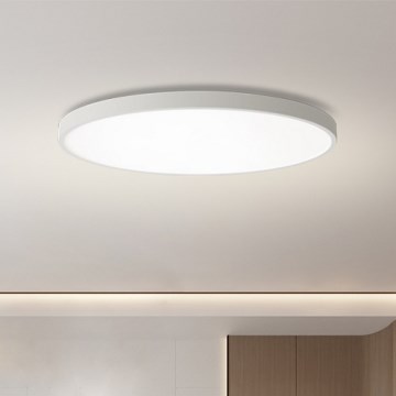 Brilagi - LED таванно осветление POOL LED/180W/230V 3000/4500/6000K диам. 120 см бяло