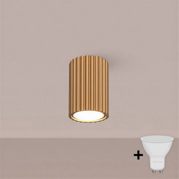 Brilagi - LED точково осветително тяло CRESTO 1xGU10/10W/230V 10 см златисто