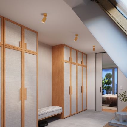 Brilagi - LED точково осветително тяло CRESTO 1xGU10/10W/230V златно