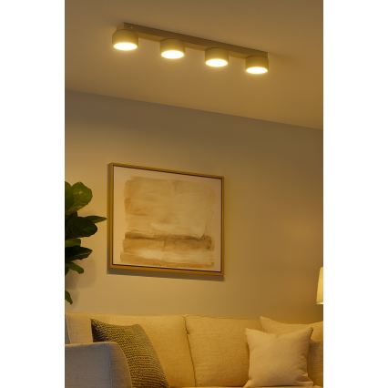 Brilagi - LED точково осветително тяло MONO 4xGX53/30W/230V бежово