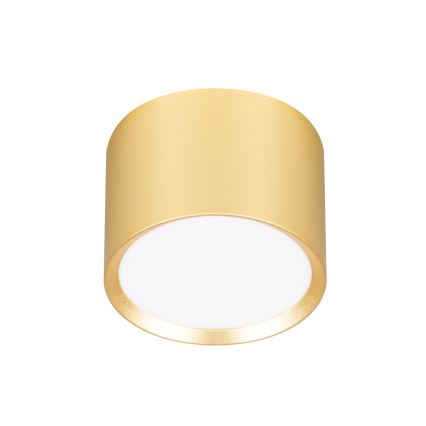 BRILAGI - LED Точково осветително тяло SMOOTH 1xGX53/15W/230V 60x82 mm златисто