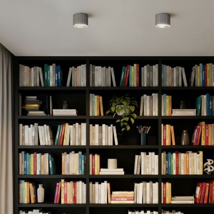 Brilagi - LED Точково осветително тяло STRIPY 1xGX53/15W/230V сребристо