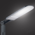 Brilagi - LED улична лампа URBANLIGHT LED/250W/230V антрацит IP65