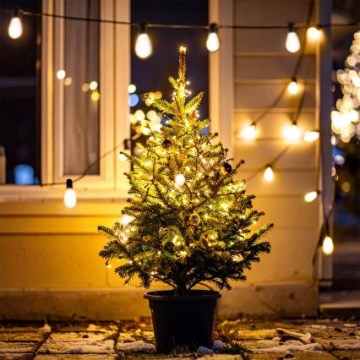 Brilagi - LED външна гирлянда 10xLED/3xAA 3,2m IP44 топла бяла