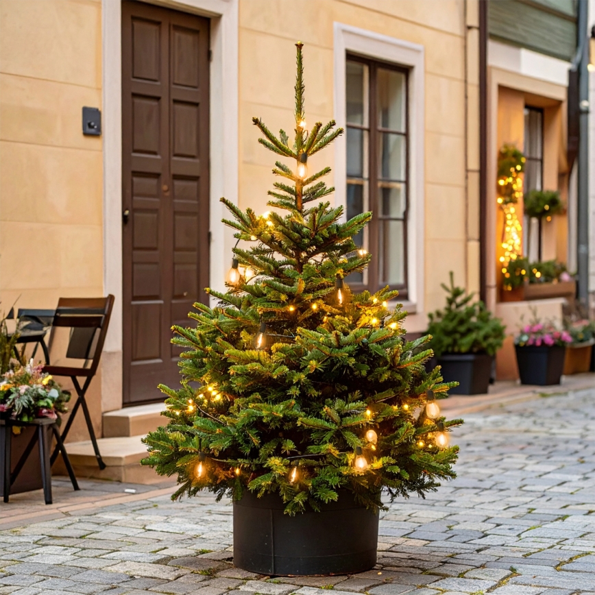 Brilagi - LED външна гирлянда 10xLED/3xAA 3,2m IP44 топла бяла