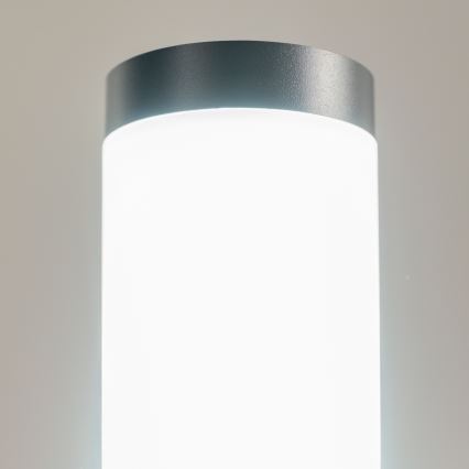 BRILAGI - LED външна лампа ELIA 1xE27/7W/230V 4000K IP44 100 cm антрацит
