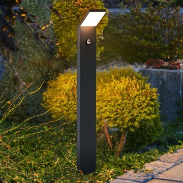 Brilagi - LED външна лампа със сензор RIANO LED/8W/230V антрацит IP65