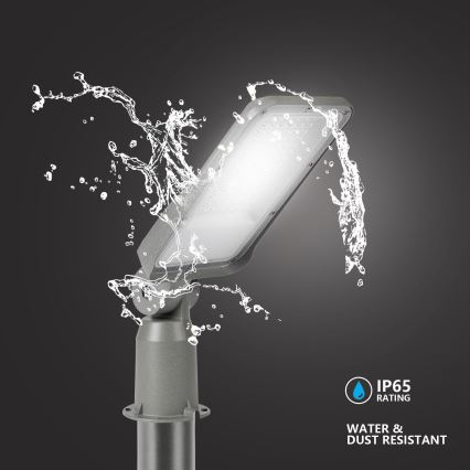 Brilagi - LED външна улична лампа със 3 м стълб и шарнир URBANLIGHT LED/50W/230V сива IP65