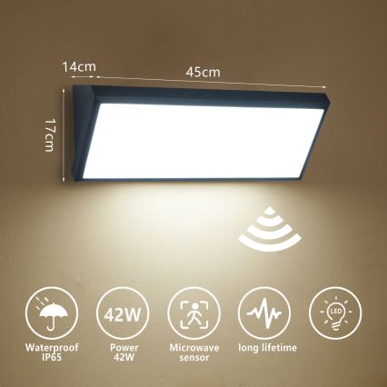 Brilagi - LED външен стенен осветител с вграден сензор TRIANGLE LED/42W/230V 45 см черен IP65