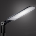 Brilagi - LED външна улична лампа URBANLIGHT LED/250W/230V черна IP65