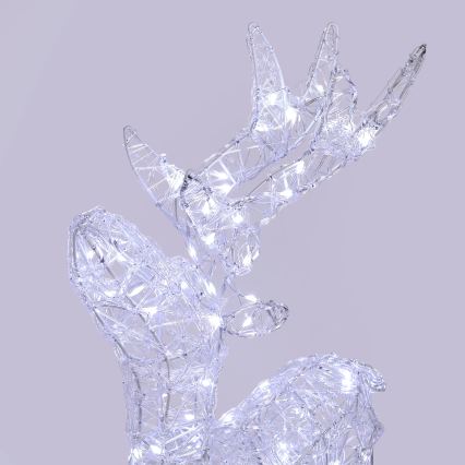 BRILAGI - LED Външна коледна декорация LED/3,3W/230V IP44 60x37 cm северен елен