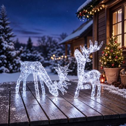 BRILAGI - LED Външна коледна украса LED/1,5W/230V IP44 73x47 см северен елен