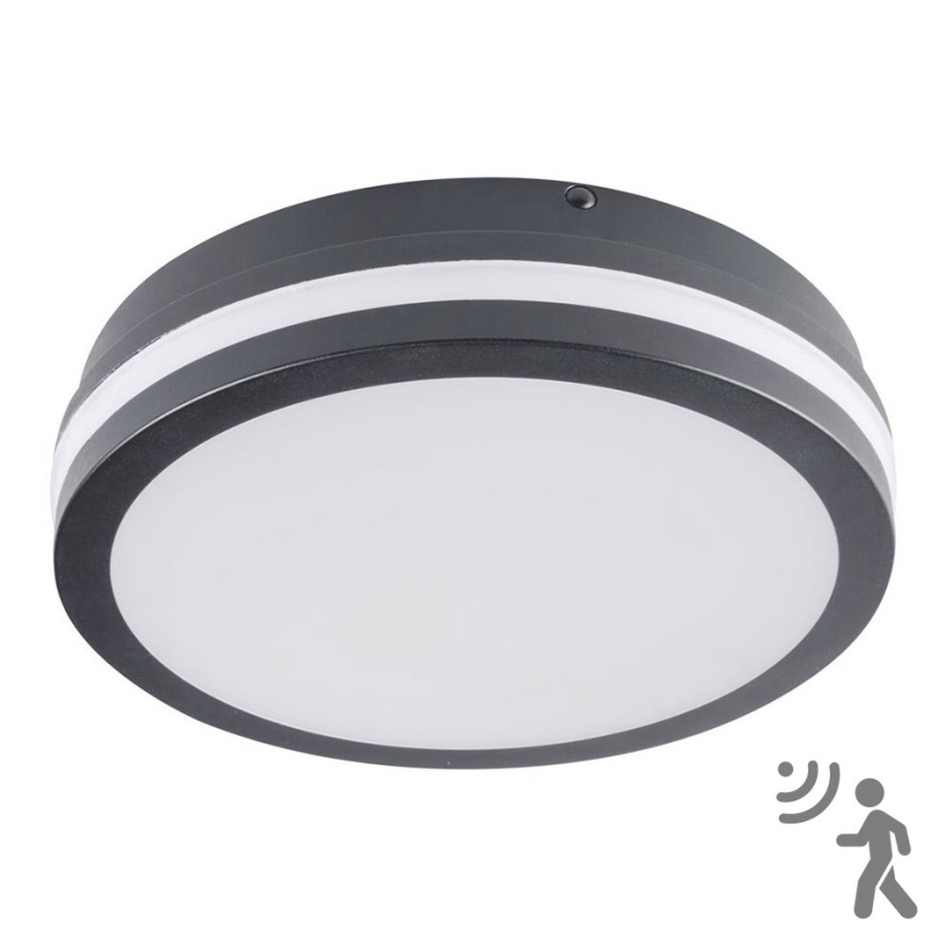 Brilagi - LED външно осветително тяло със сензор BENE LED/18W/230V, диаметър 22 см, антрацит, IP54